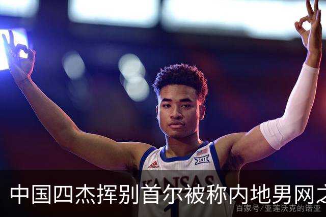 中国四杰挥别首尔被称内地男网之痛，大威首次回应屡战屡败