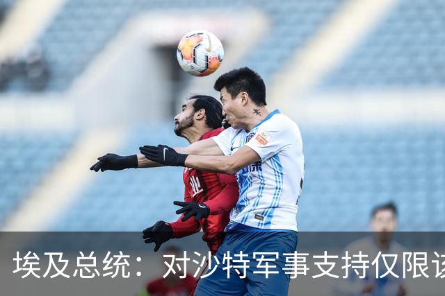 埃及总统：对沙特军事支持仅限该国领土