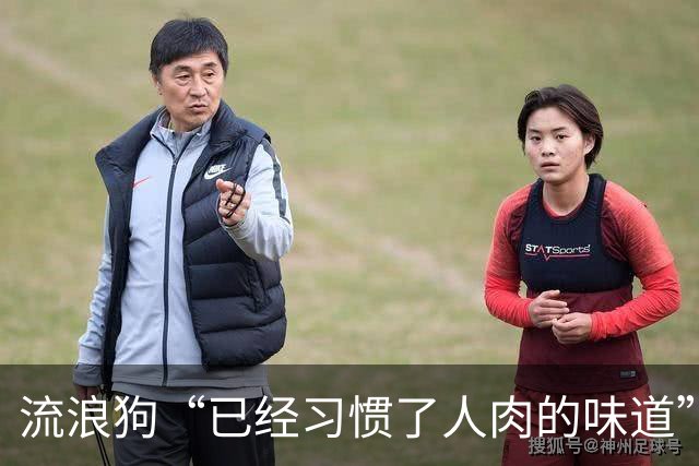 流浪狗“已经习惯了人肉的味道”