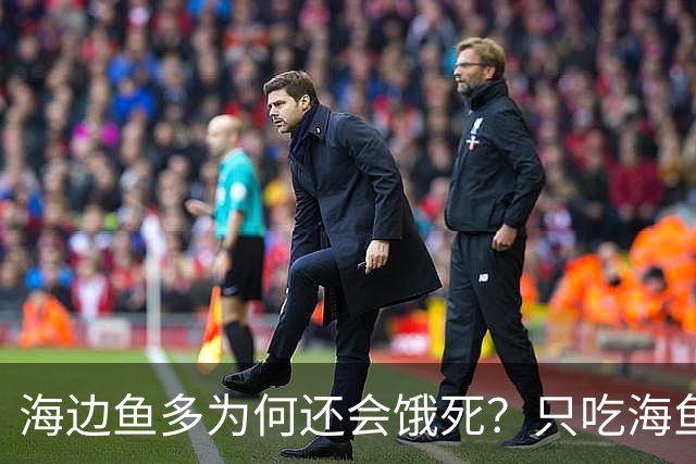 海边鱼多为何还会饿死？只吃海鱼一周就出问题