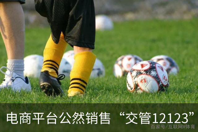 电商平台公然销售“交管12123”软件模拟器，可“一比一模拟”“全部信息随意编辑”，甚至可使用伪造的电子驾照，专家：应依法处罚
