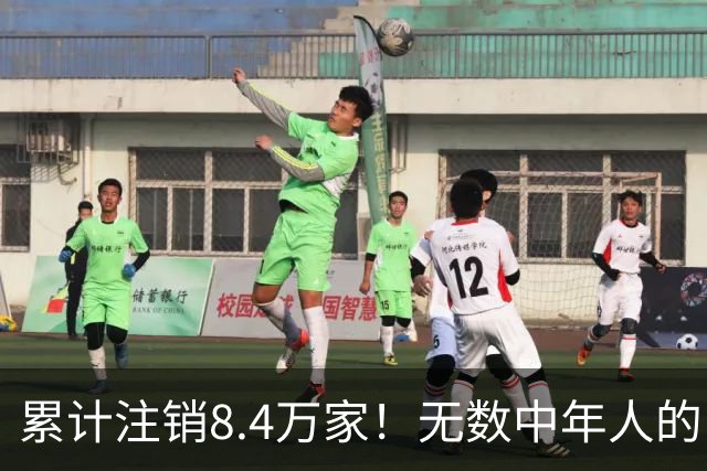 累计注销8.4万家！无数中年人的“庇护所”，如今为何跌下神坛？