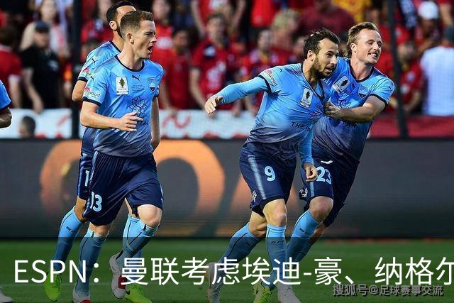 ESPN：曼联考虑埃迪-豪、纳格尔斯曼接替卡里克