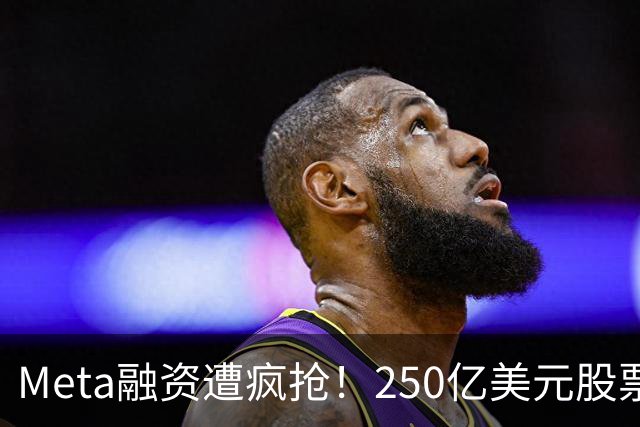 Meta融资遭疯抢！250亿美元股票获5倍认购，英伟达、AMD合计拟投40亿美元，股价却已跌破本轮发行价